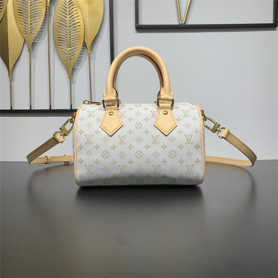 Louis Vuitton LV speedy bandouliere 20 bag