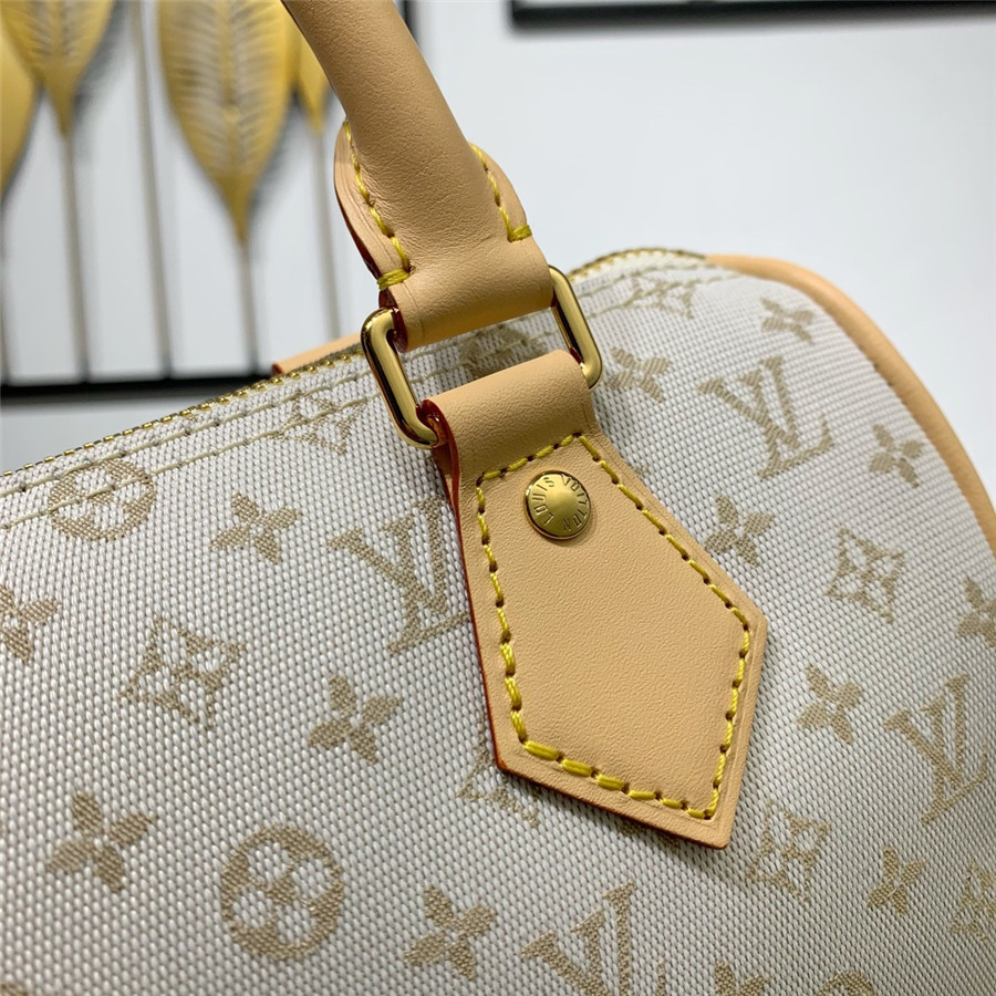 l0vis Vvtt0n lv speedy bandouliere 20 bag