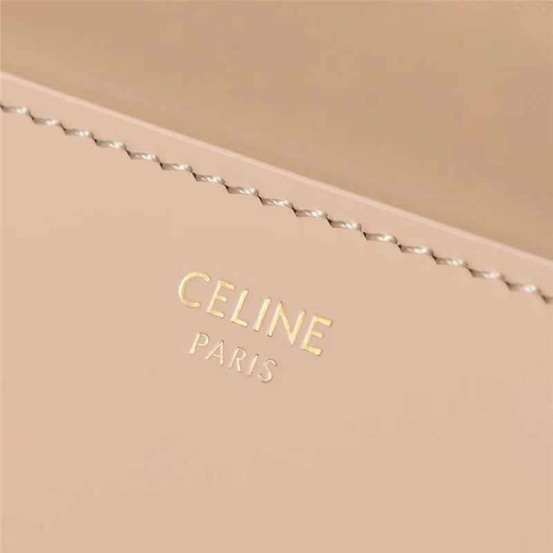 Ce1i*e triomphe chain shoulder bag in pink