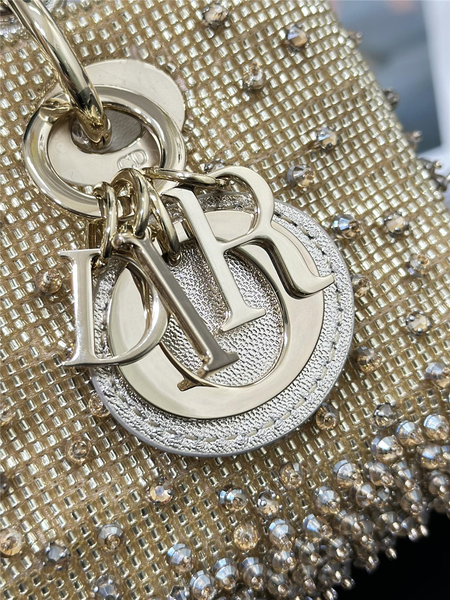 D10r lady d-joy mini embroidered beaded bag