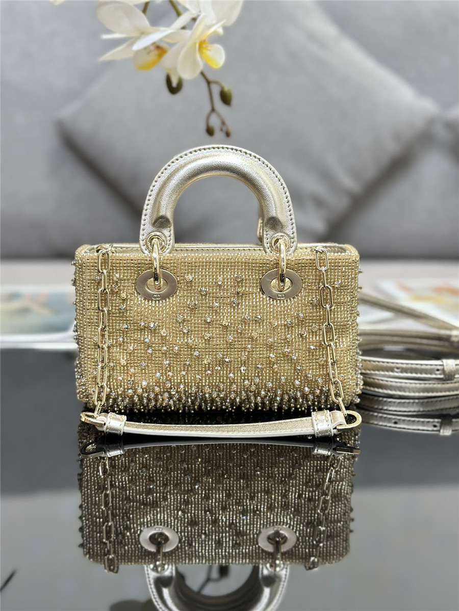 D10r lady d-joy mini embroidered beaded bag