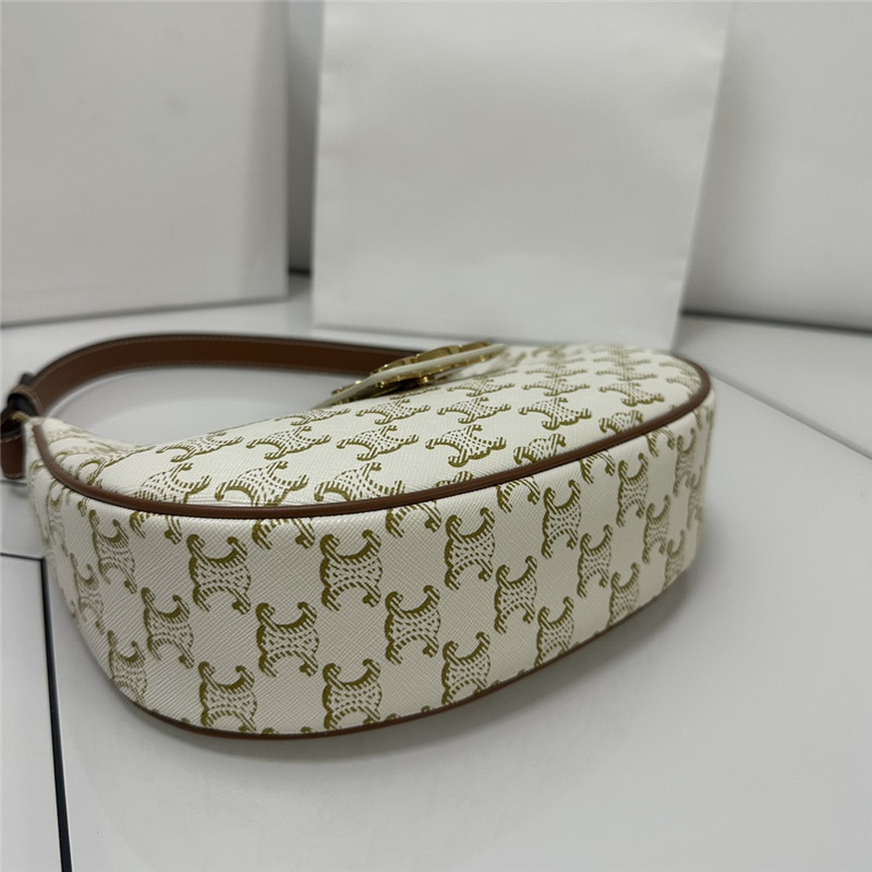 Ce1i*e ava triomphe bag canvas