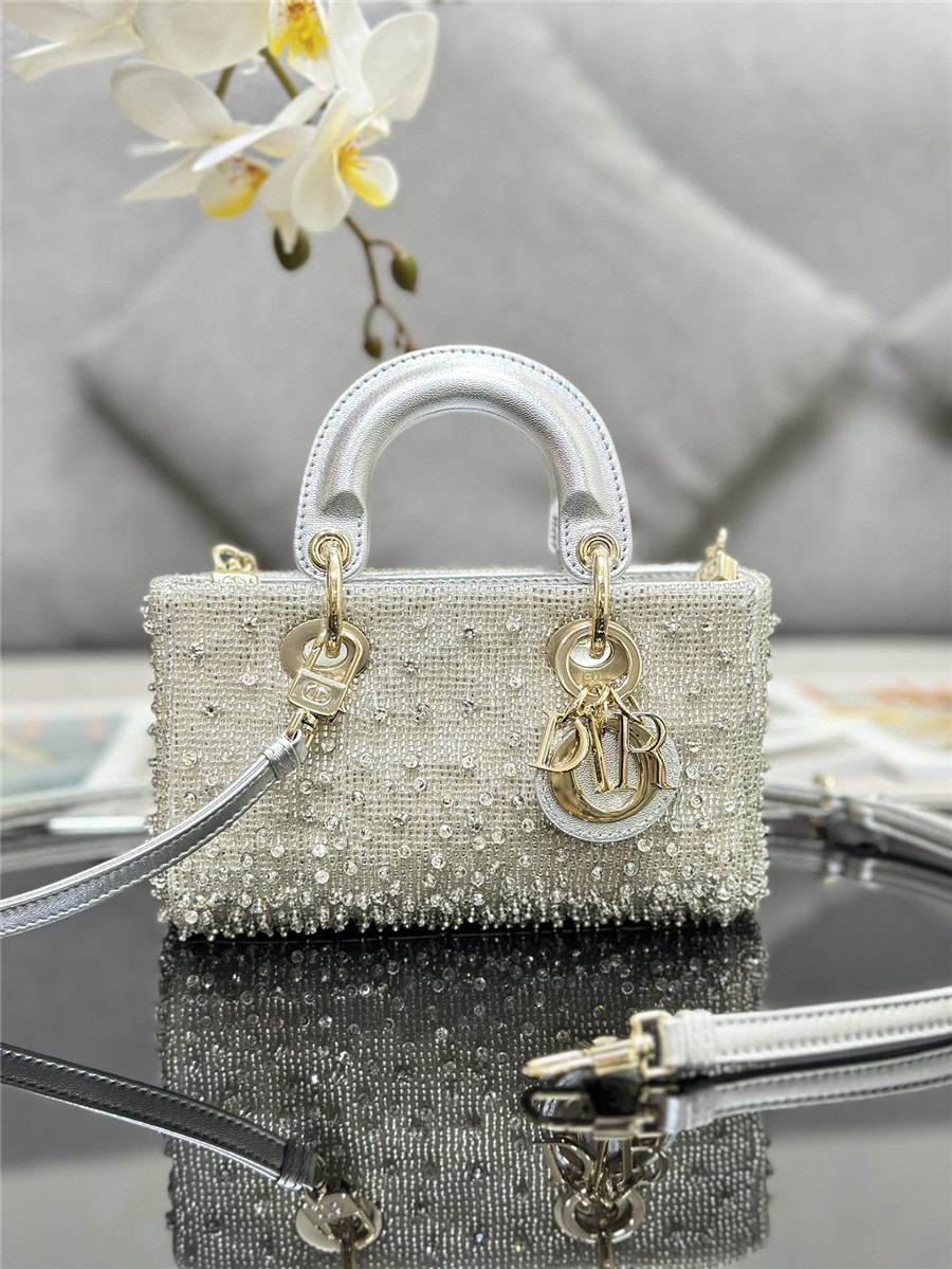 D10r lady d-joy mini embroidered beaded bag