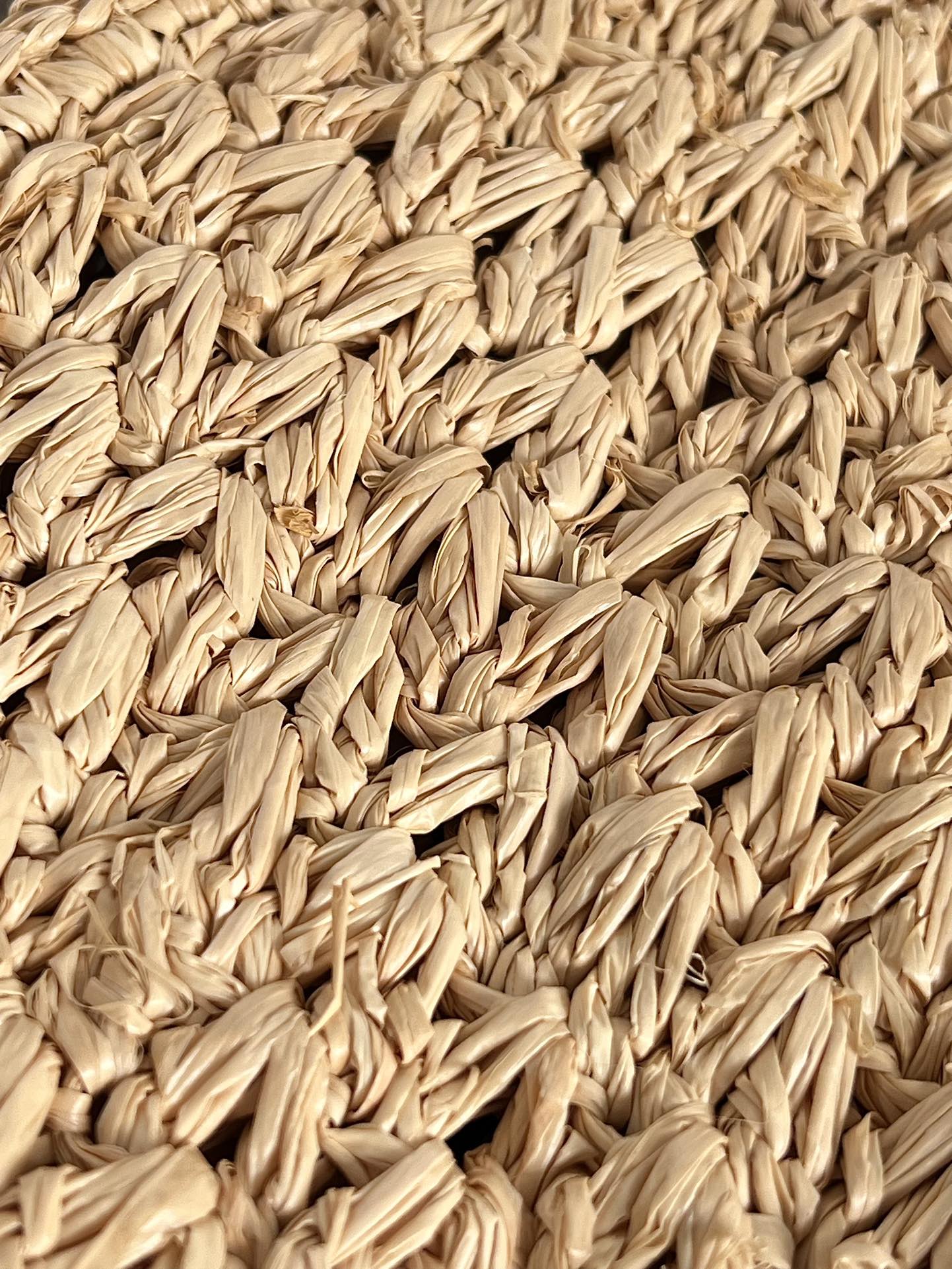 Ce1i*e raffia calfskin triomphe panier hobo bag