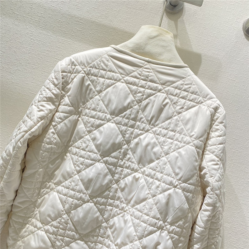 D10r goose down jacket