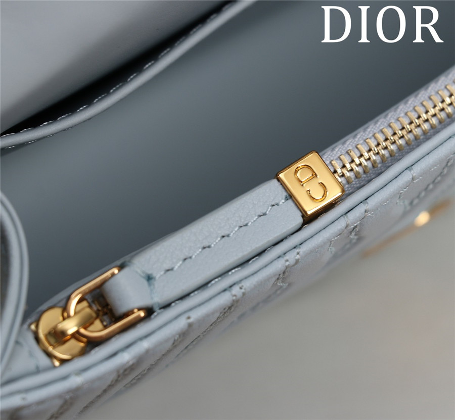 miss D10r allover bag