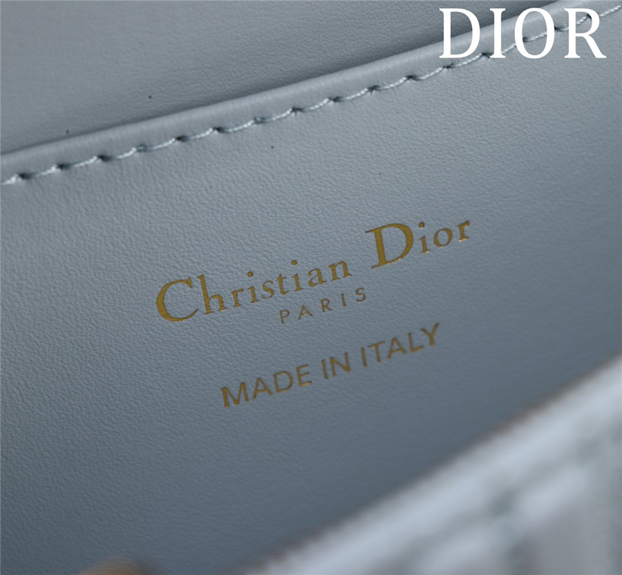 miss D10r allover bag