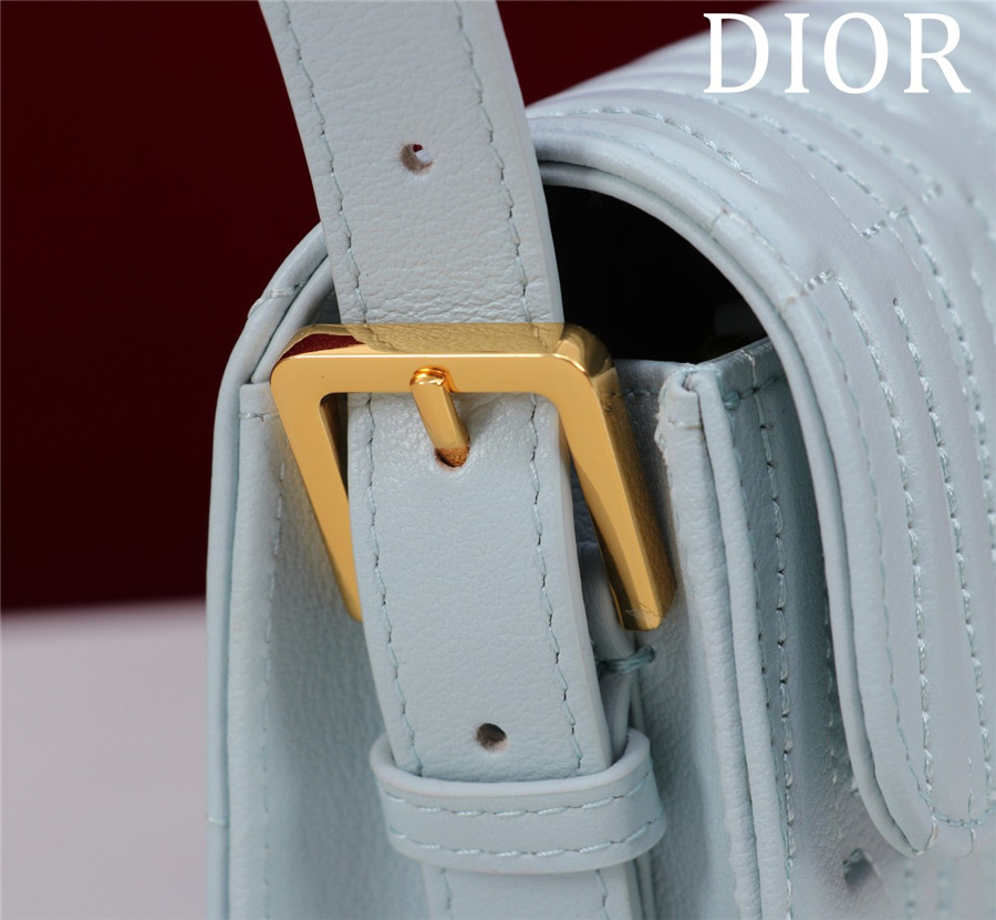 miss D10r allover bag