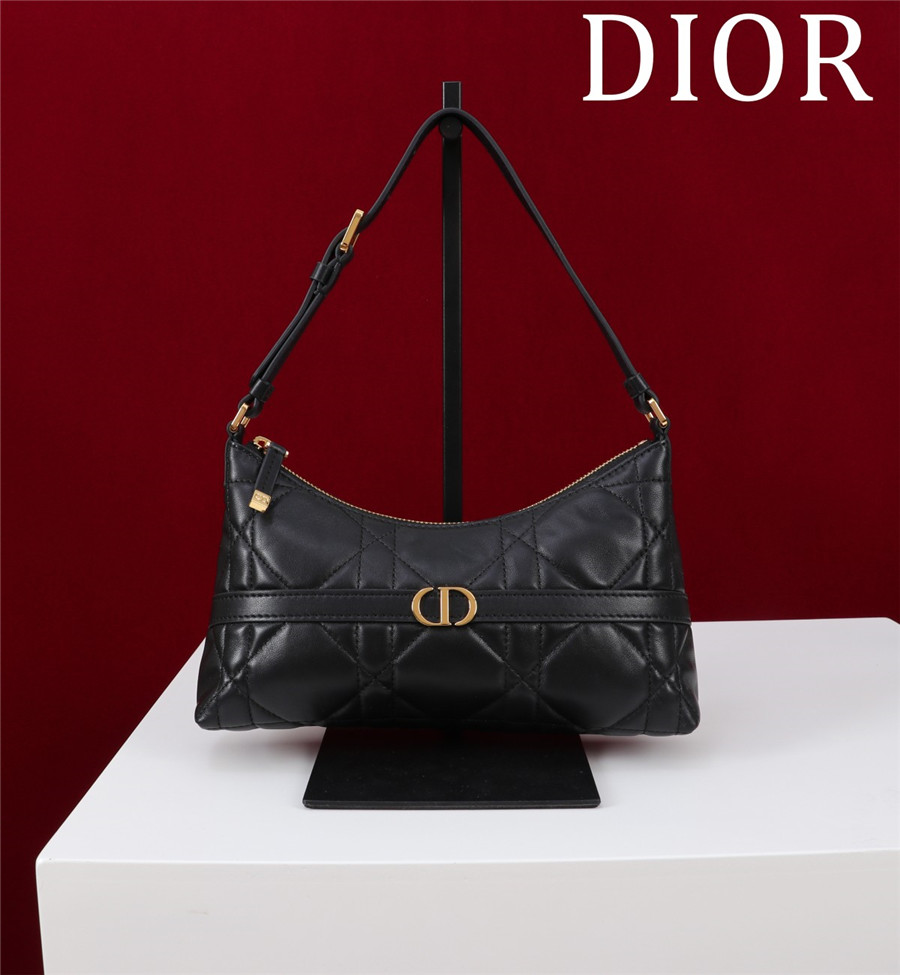 D10r 30 montaigne mini shoulder bag