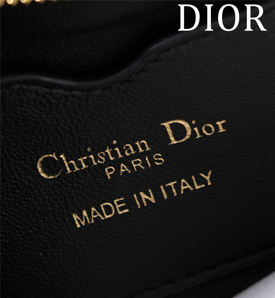 D10r 30 montaigne mini shoulder bag