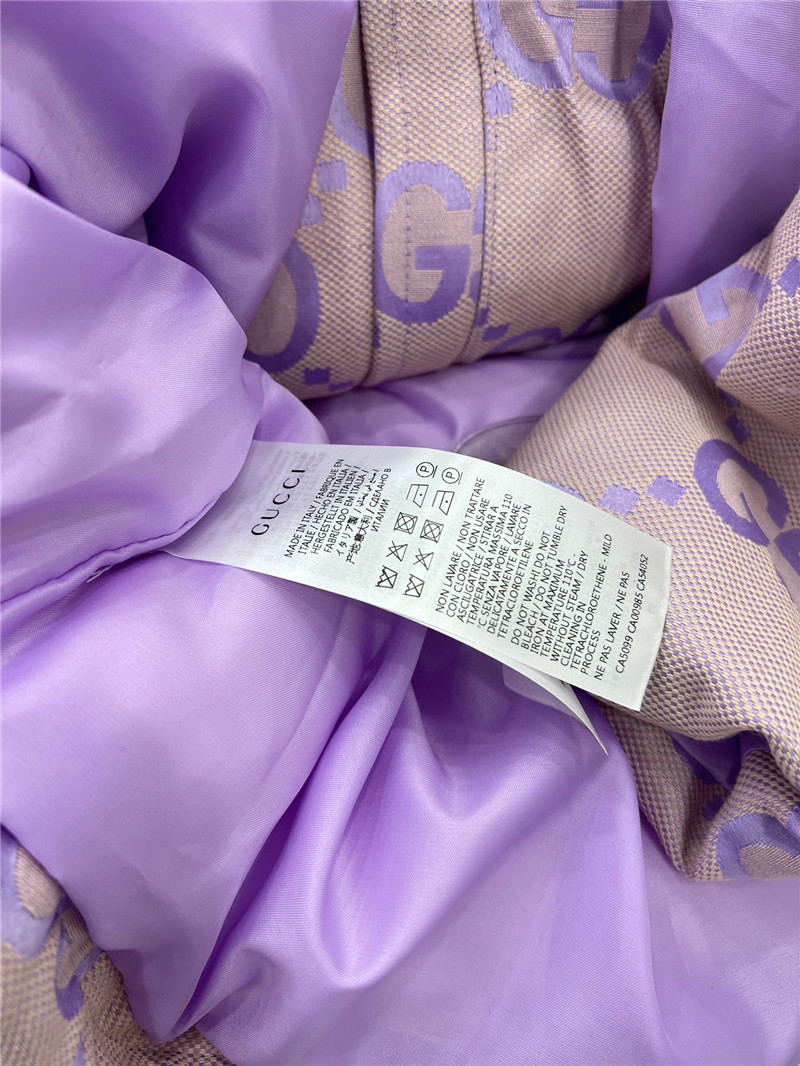 Gucci new hooded down jacket