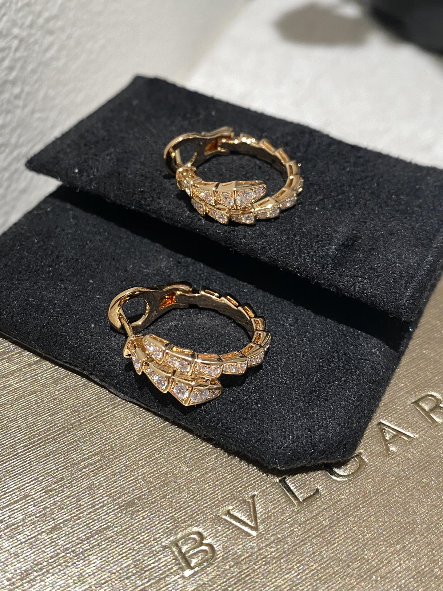 Bottega Veneta new earrings