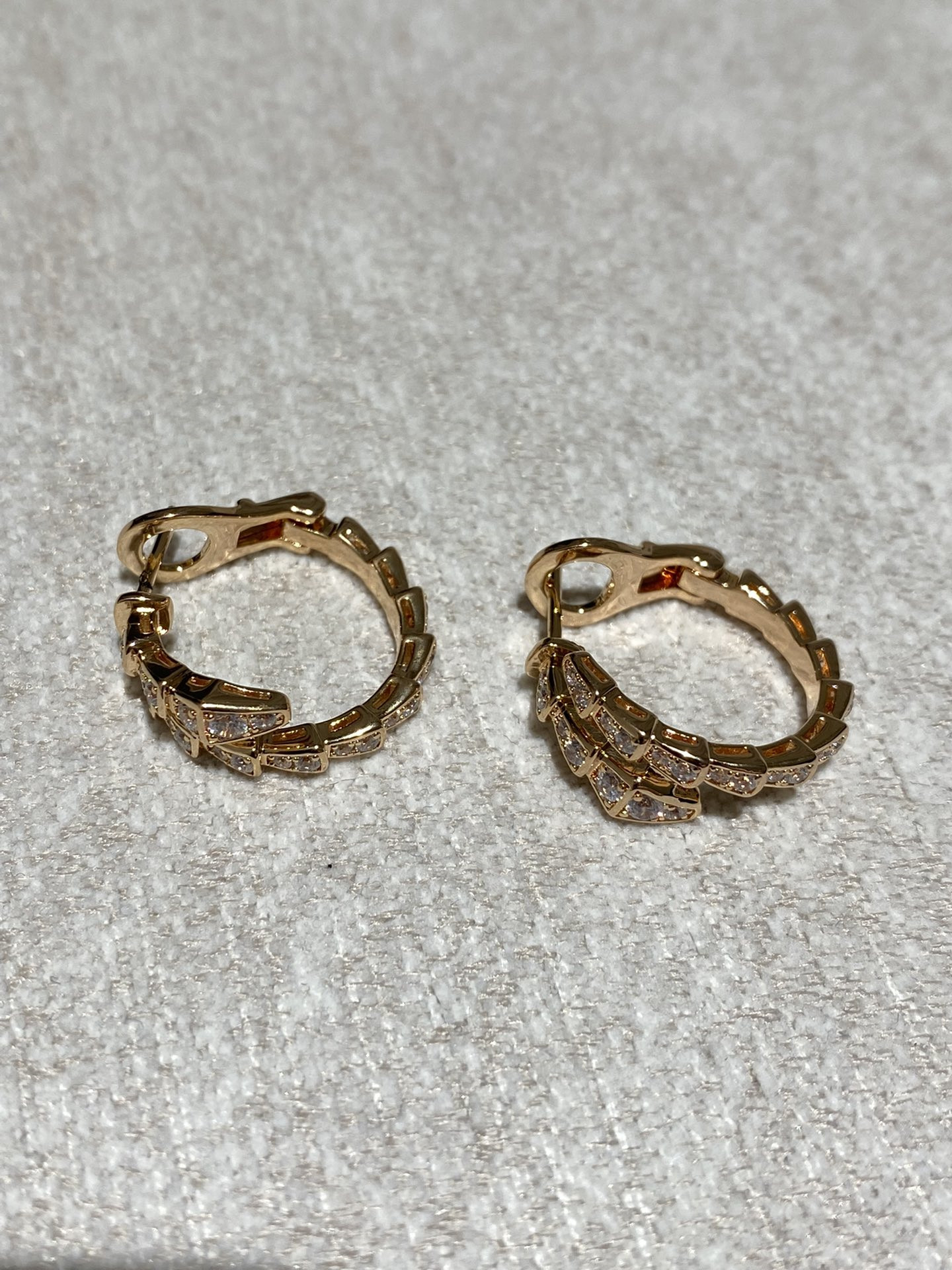 Bottega Veneta new earrings