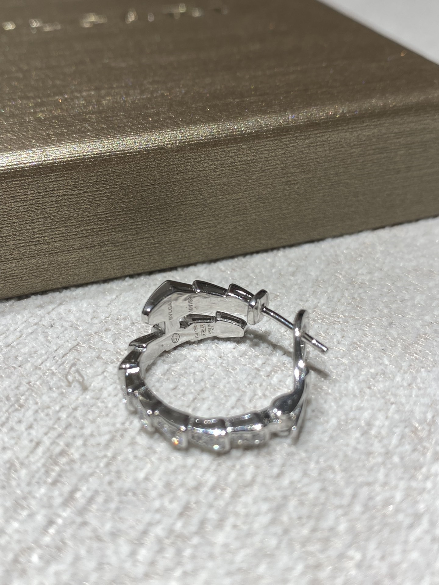 Bottega Veneta new earrings