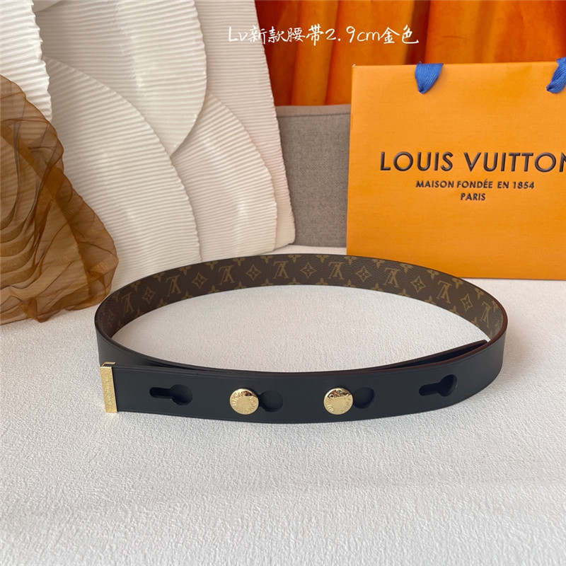 louis vuitton LV classic pvc printed belt