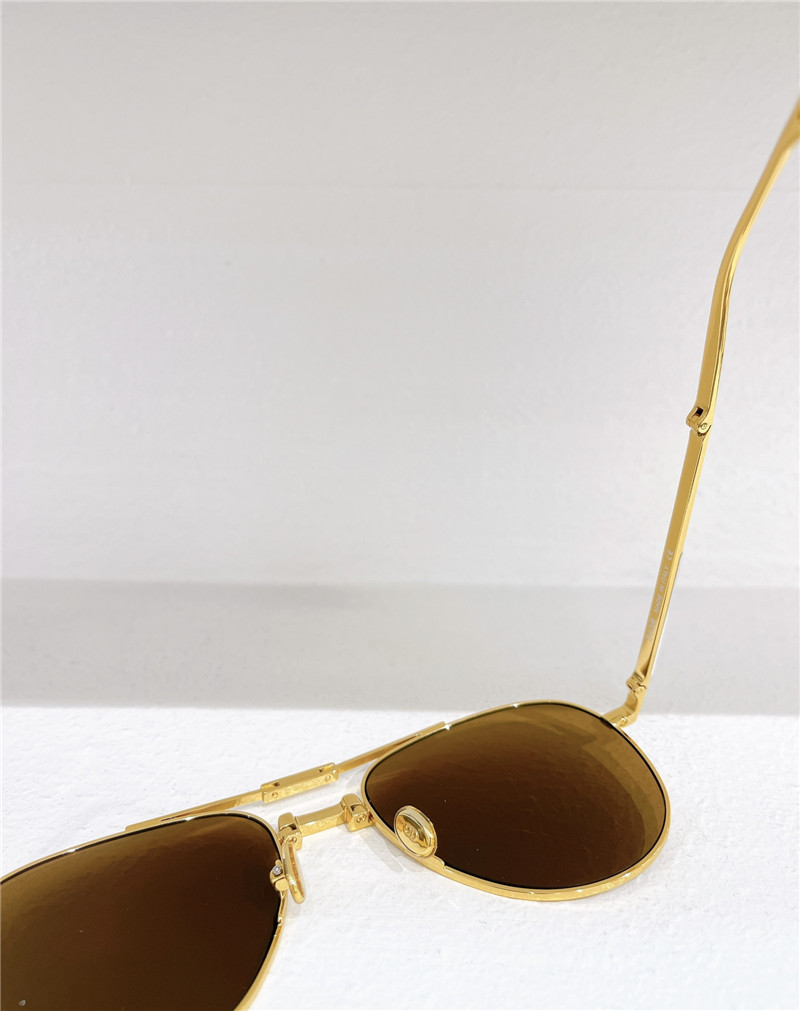 D10r fashionable folding sunglasses