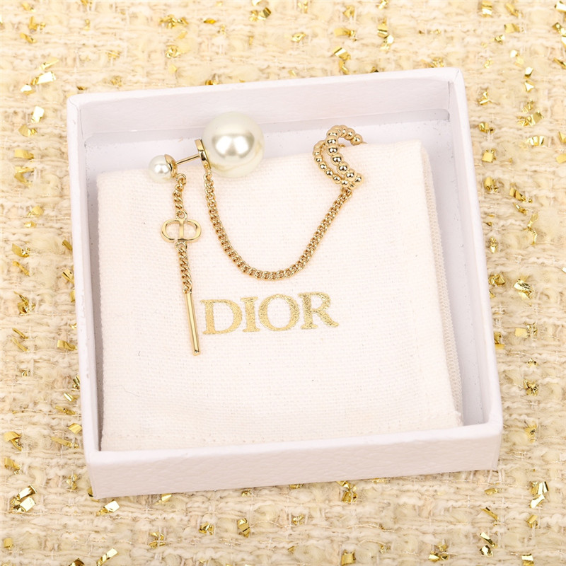dior new earrings