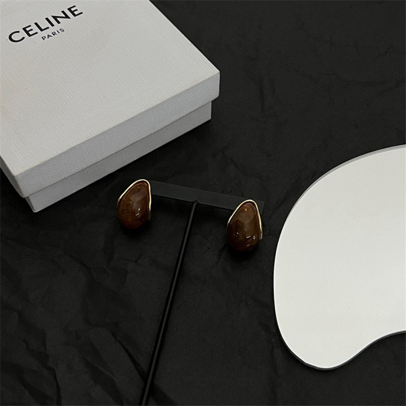 celine new earrings