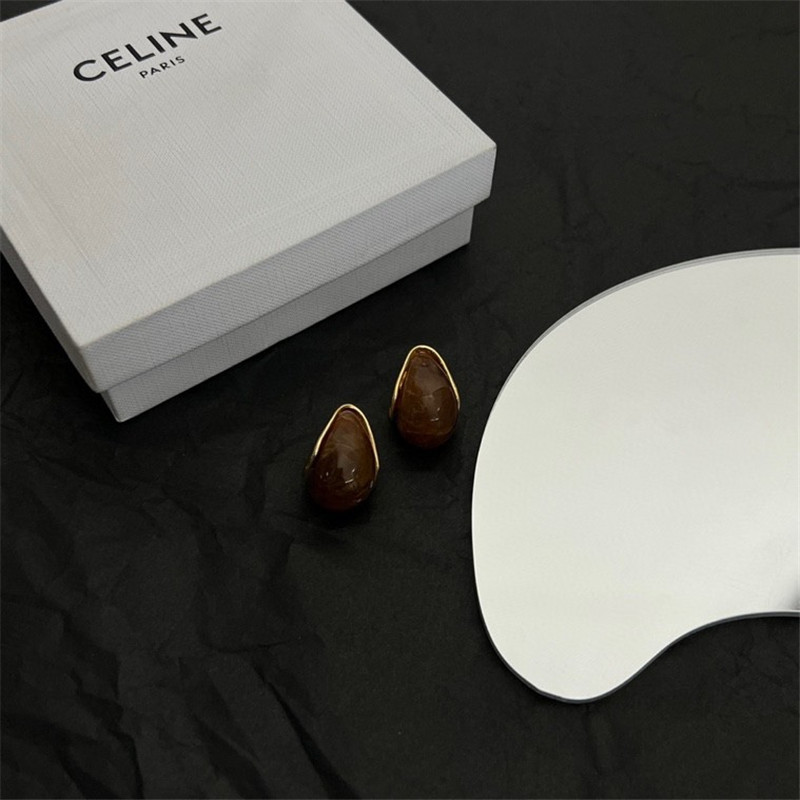 celine new earrings