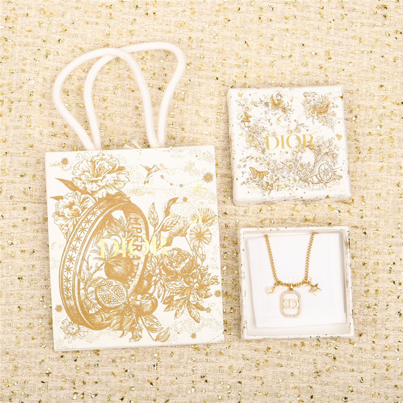 dior chain choker necklace