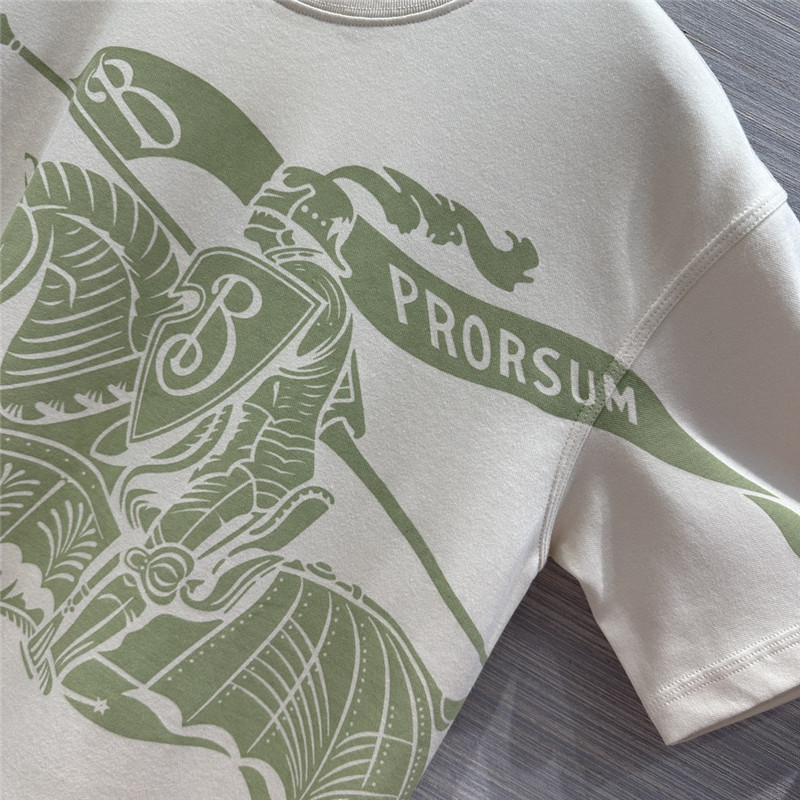 Burberry long T skirt replica clothing sites