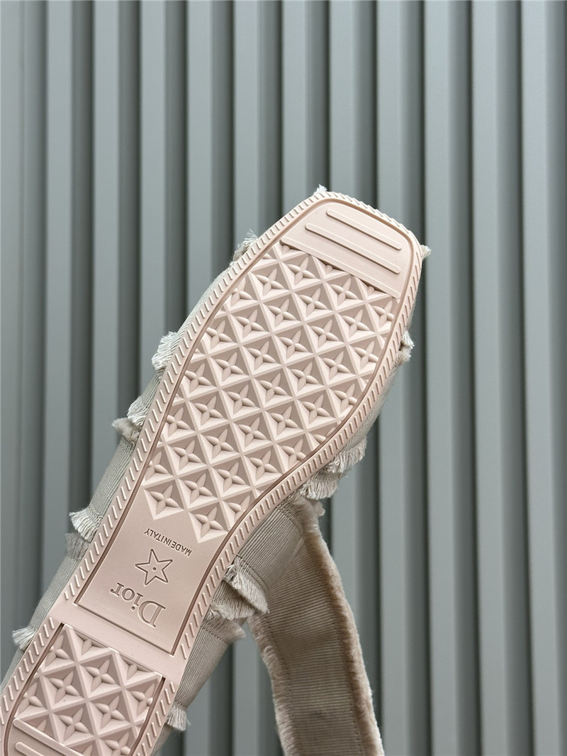 Dior Songe Ballet Flats