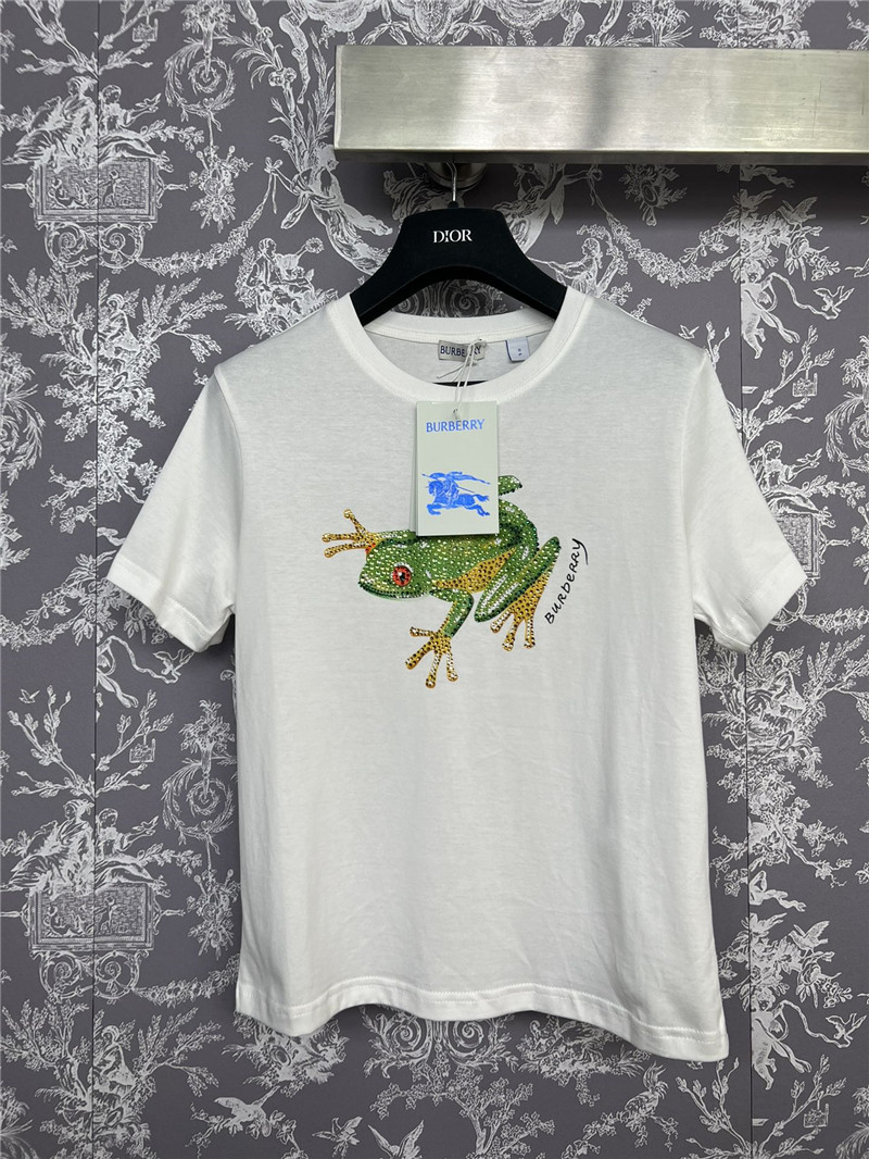 Burberry new T-shirt replica d&g clothing