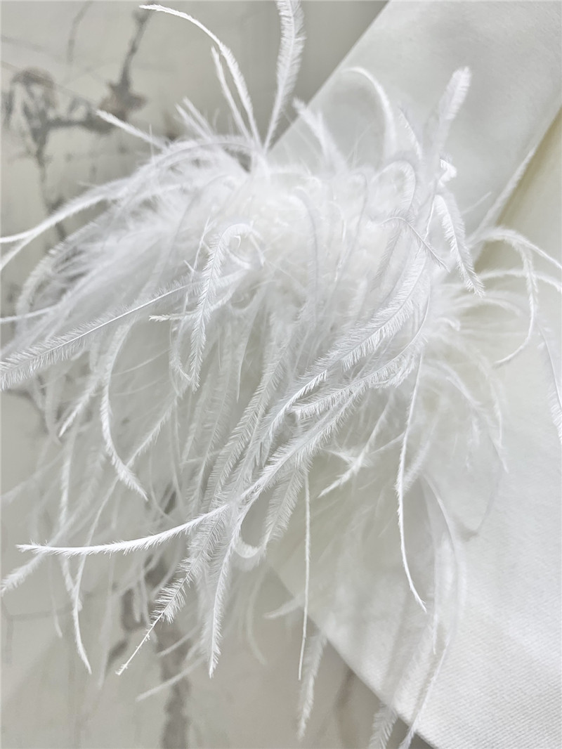 Y51 ostrich feather silhouette suit replica d&g clothing