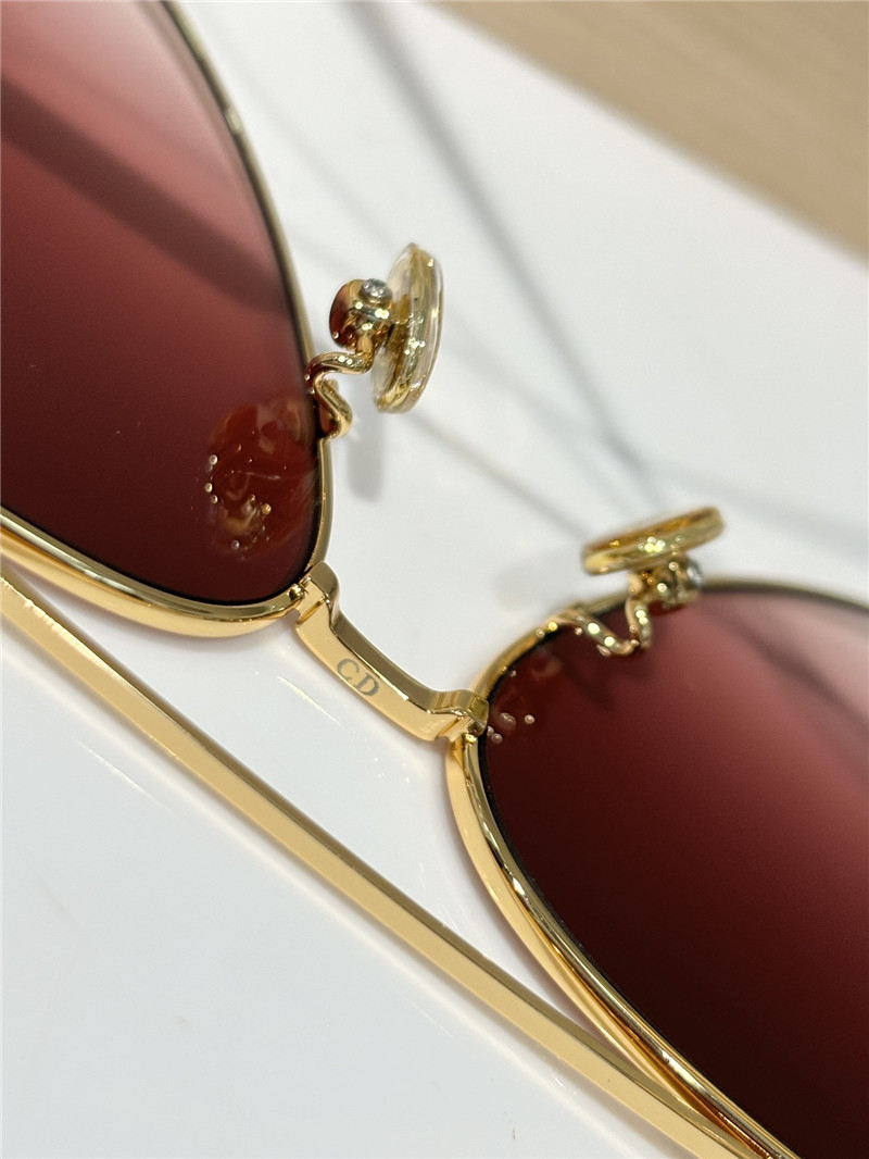 D10r aviator sunglasses