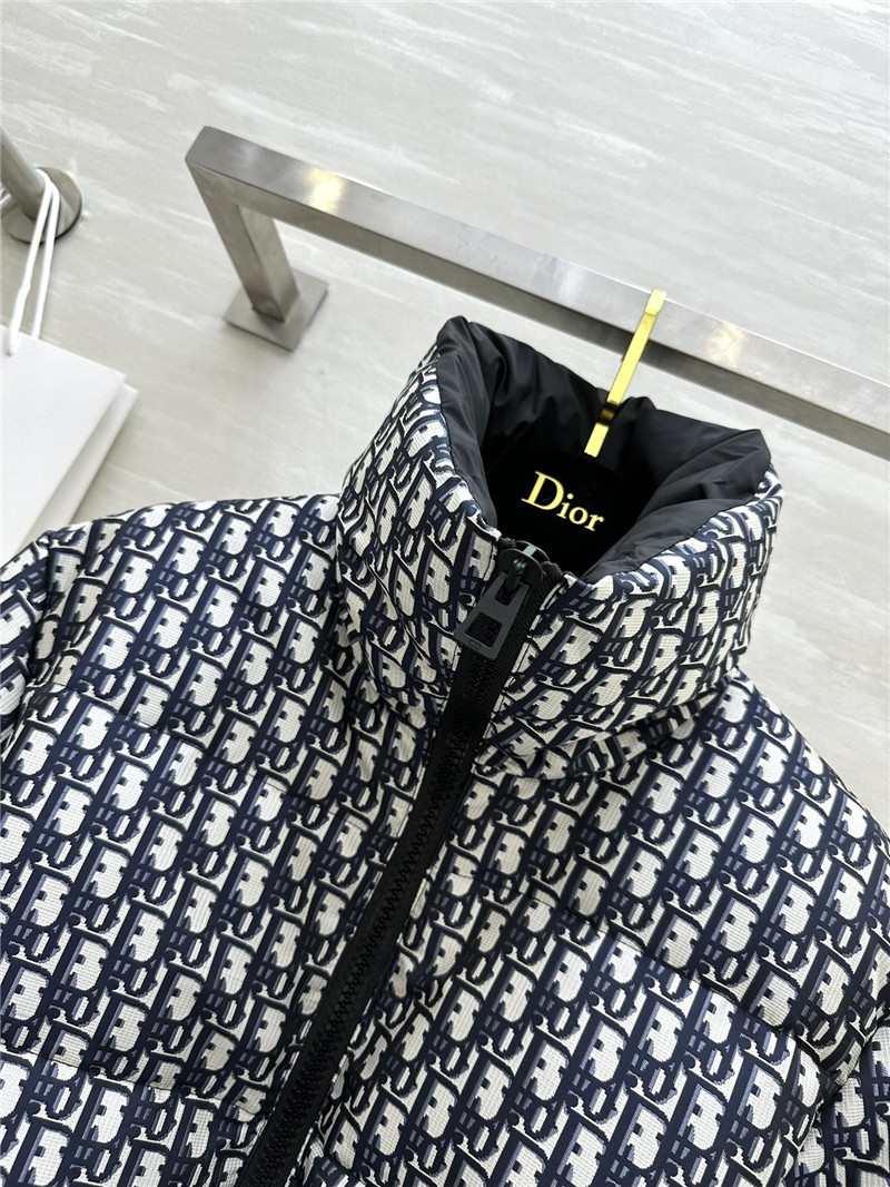 D10r stand collar down jacket