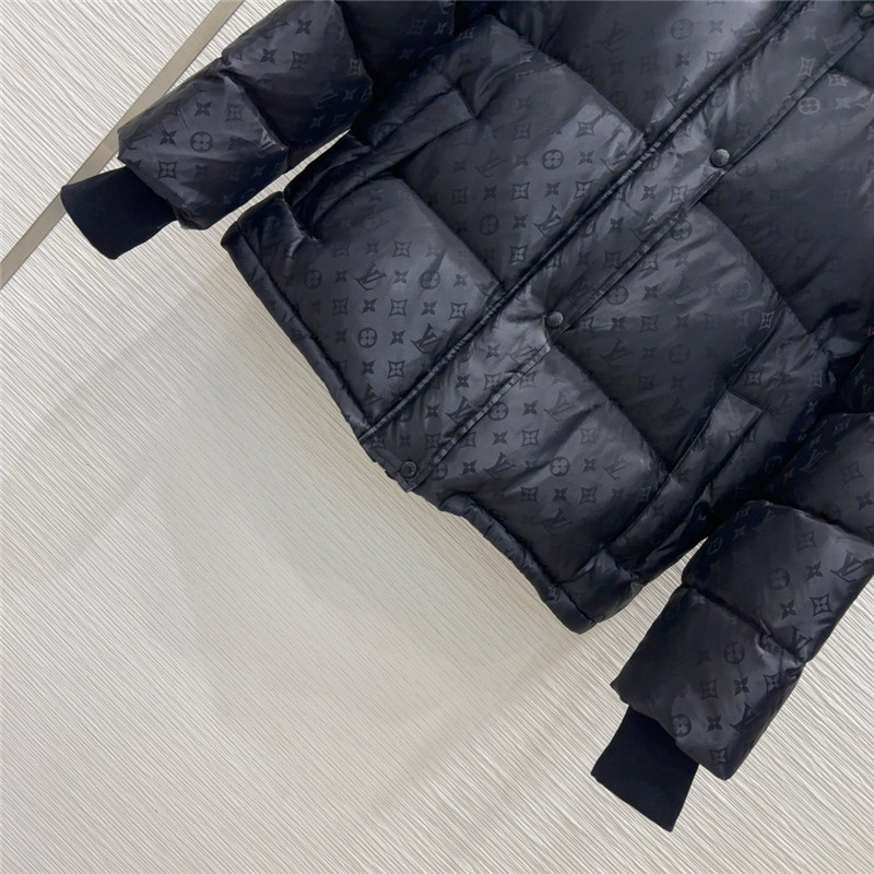 l0vis Vvtt0n lv down jacket