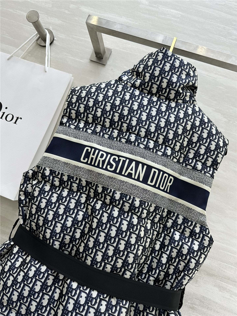 D10r stand collar jacket down vest