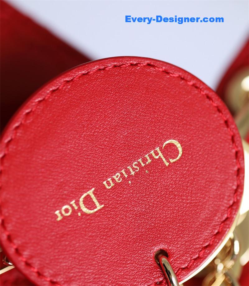 lady D10r my abcD10r bag