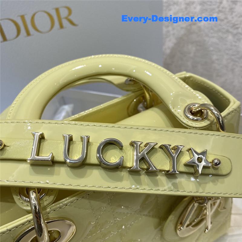 small lady D10r my abcD10r bag