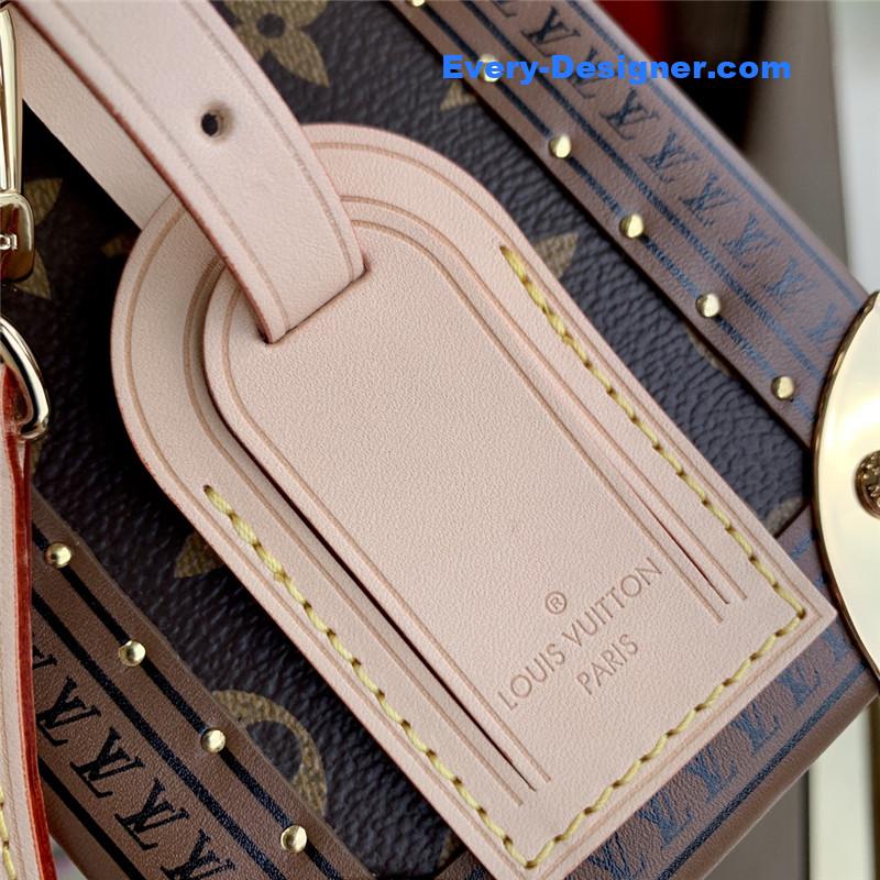 louis vuitton lv camera box bag