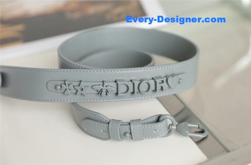 lady D10r my abcD10r bag