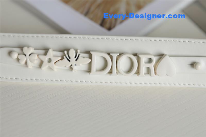 lady D10r my abcD10r bag