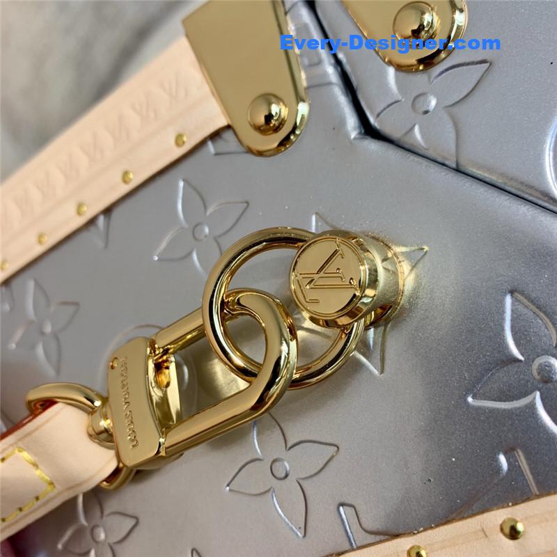 louis vuitton lv camera box bag