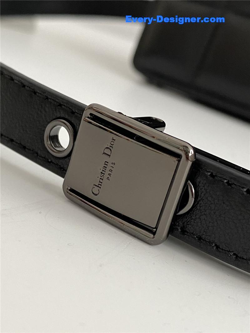 D10r caro bag celebrity bag