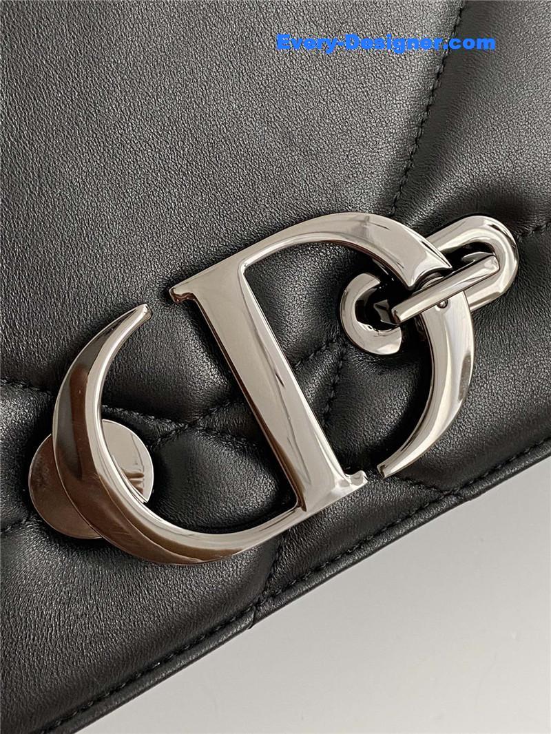 D10r caro bag celebrity bag