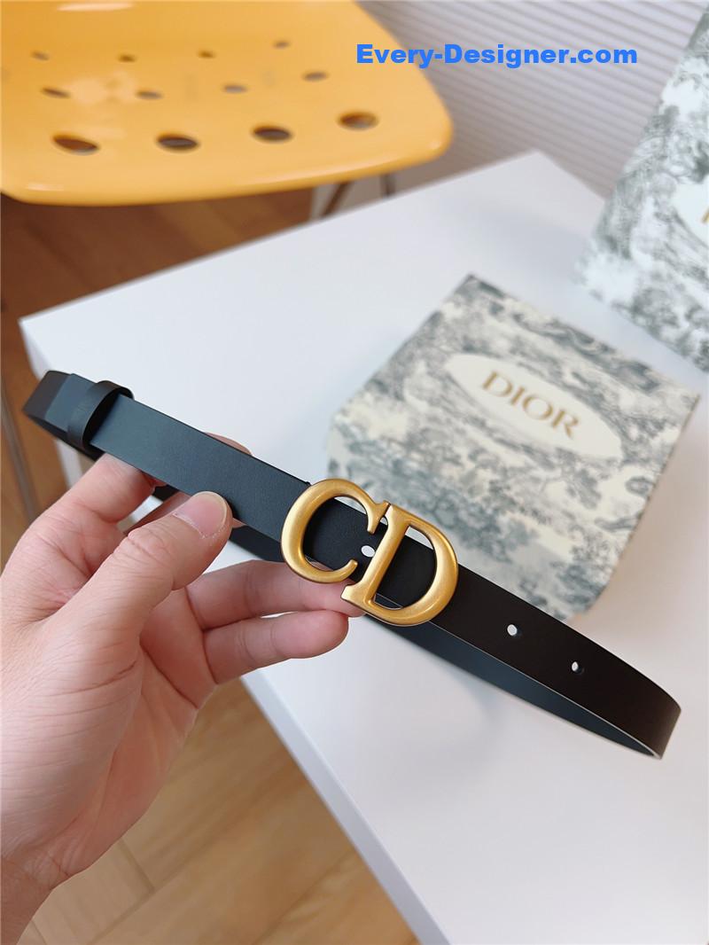 dior saddle belt
