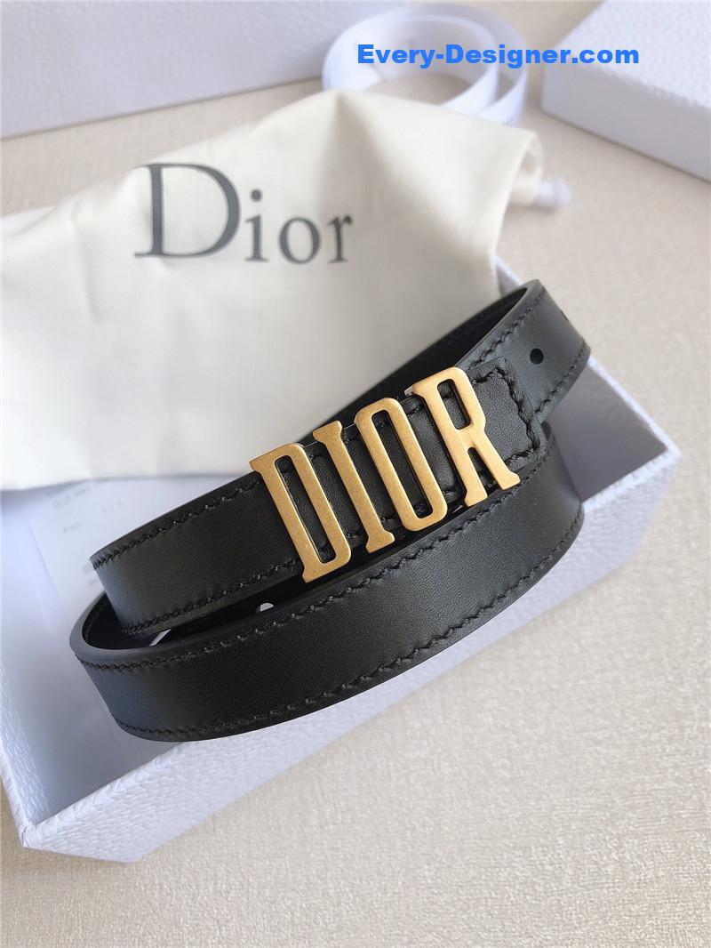 dior saddle belt