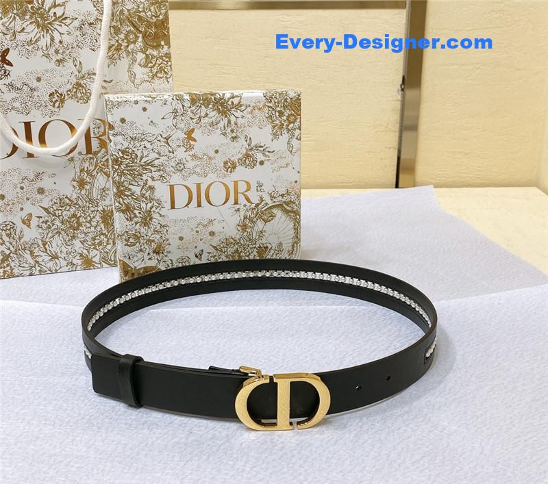 dior Montaigne CD belt