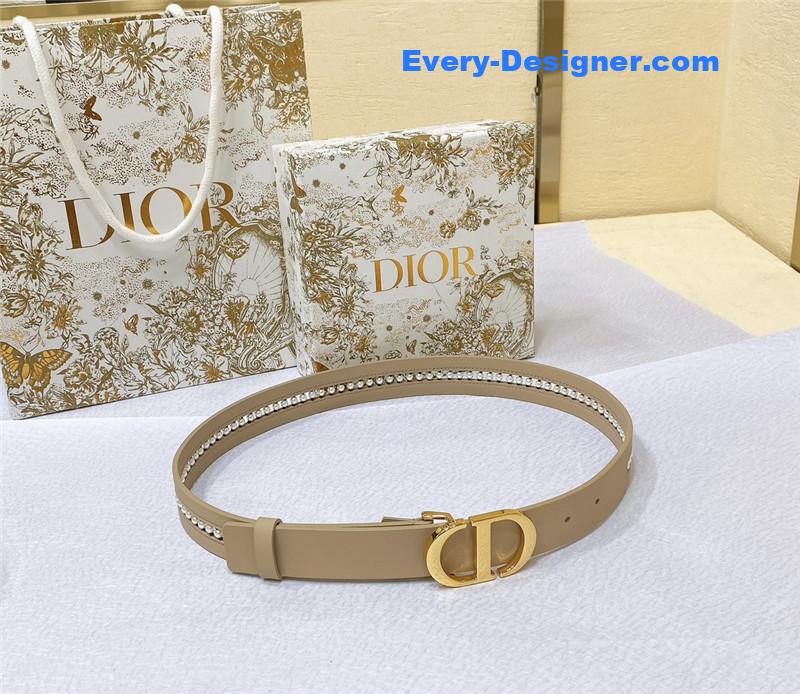 dior Montaigne CD belt