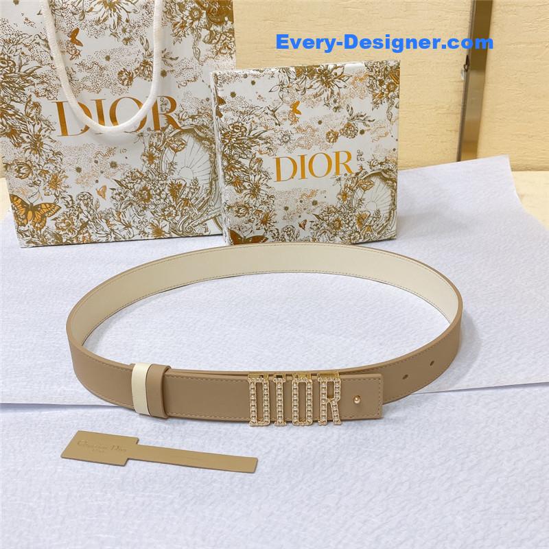 dior new D-Fence Dior belt