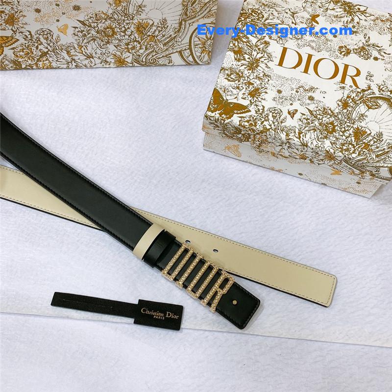 dior new D-Fence Dior belt